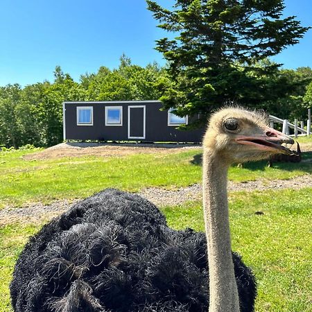 Margo'S Garden Farmstay, Kiroro Akaigawa Екстериор снимка