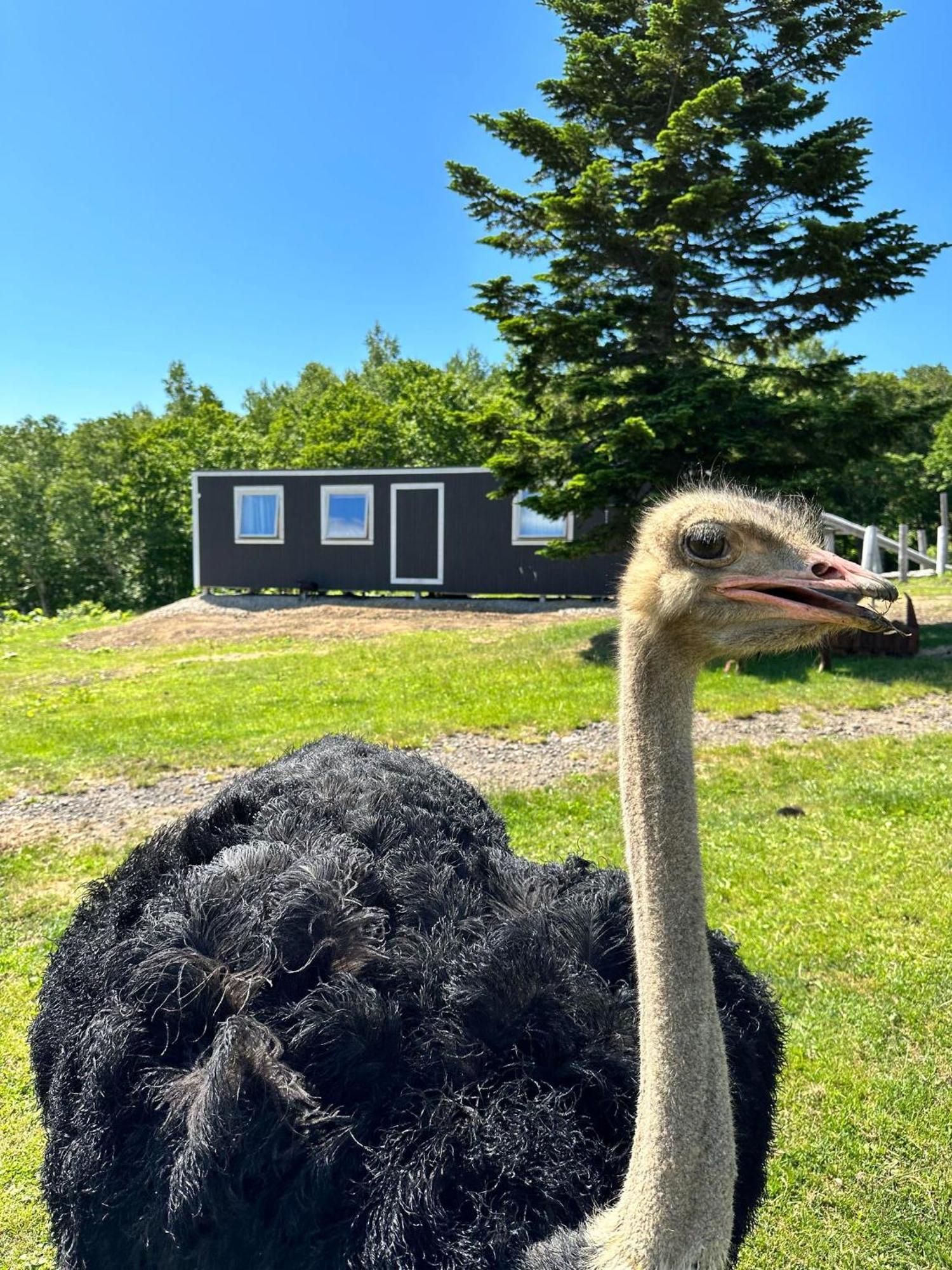 Margo'S Garden Farmstay, Kiroro Akaigawa Екстериор снимка